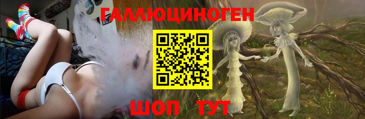 Арзамас  Галлюциногенные грибы Cubensis  Вход с VPN 